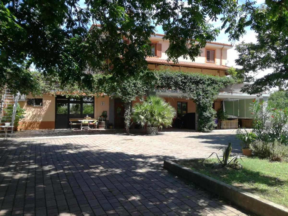 Guesthouse Skofije Ob Parenzani Spodnje Skofije Ngoại thất bức ảnh