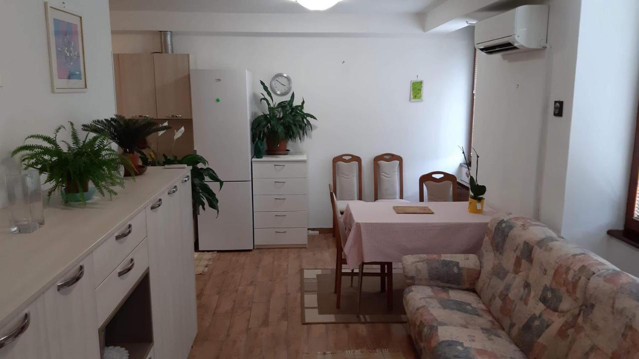Guesthouse Skofije Ob Parenzani Spodnje Skofije Ngoại thất bức ảnh